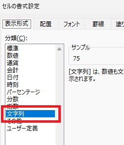 セルの書式画面（文字列）の画像